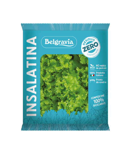 GREEN BATAVIA BABY LEAF SALAD without pesticide residues